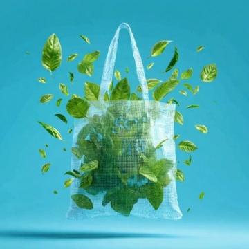 不亂扔垃圾，讓環境更美好——安全教育常識必讀
