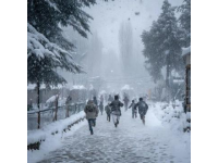 雪終于來(lái)了！河南鄭州出現(xiàn)大暴雪，河南局地積雪深度超20厘米,前些日子天氣預(yù)報(bào)說(shuō)