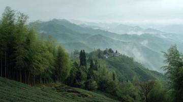 臨桂區黃沙瑤族鄉山珍美食(上有圖)；