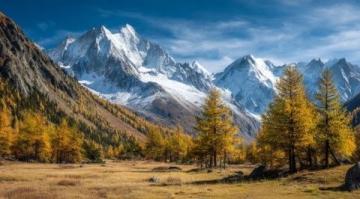 2024年阿勒泰秋季之旅:喀納斯至禾木的精彩探索與日出之約