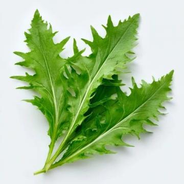 三伏天給孩子吃這四樣綠葉蔬菜,腸胃舒暢過夏天