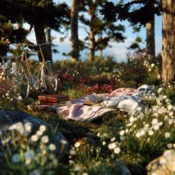 騎車去春游,公園推薦,騎車野餐是我認為度過春天最慵懶的方式了