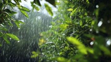 雨季安全小知識(shí)(雨季安全小知識(shí)，你知道多少？)
