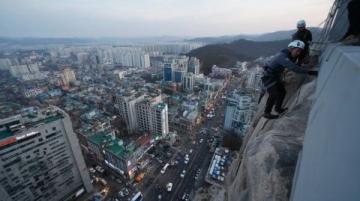 香港鼠患嚴(yán)峻:每捉一只老鼠成本約10880元,引發(fā)熱議