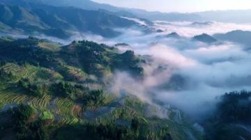 岑溪口福美食與風景之旅