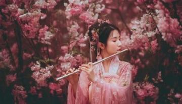 春日武漢賞櫻必讀!四款詩意文案帶你領略粉嫩花海的浪漫之旅