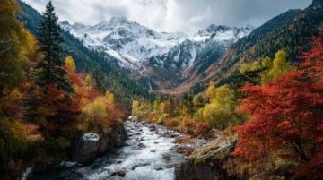 九寨溝一日游:奇幻探險(xiǎn)之旅,開(kāi)啟你的山水童話之旅
