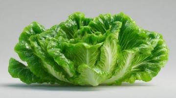 三伏天給孩子吃這四樣綠葉蔬菜，腸胃舒暢過夏天