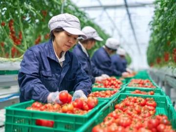 滕州本地人常去的八大菜市場(chǎng)推薦