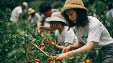 云南8日7晚跟團游:美景美食雙享攻略