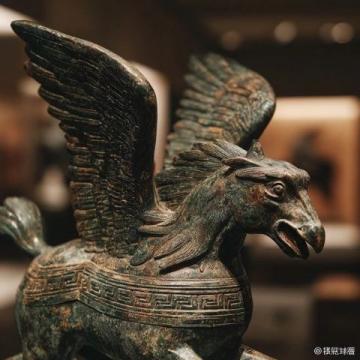 韶關新發(fā)現(xiàn)那些令人驚艷的新鮮事物