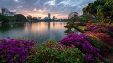 佛山綠島湖游玩指南:探索城市綠肺與生態秘境