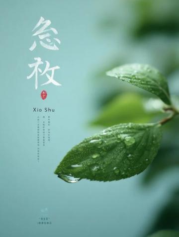 清風梳柳細雨潤花：傳統對聯文化的現代傳承與發展
