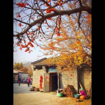 安吉必打卡！水上風暴過后住進這家民宿，老板熱情服務超貼心