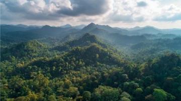 西雙版納旅游攻略:熱帶雨林與傣族文化的完美結合
