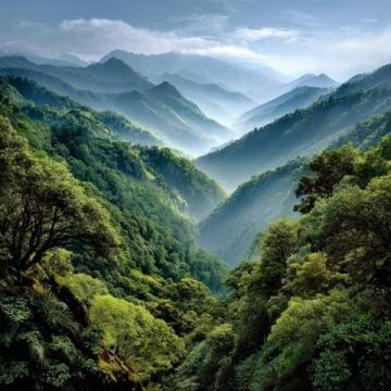 貴州荔波被譽為地球上的綠寶石(荔波，位于貴州省南部)
