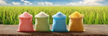 中國6大名優大米盤點：你的家鄉米在榜上嗎？