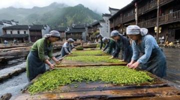 四川北部明珠：廣元的獨(dú)特魅力與美食美景之旅