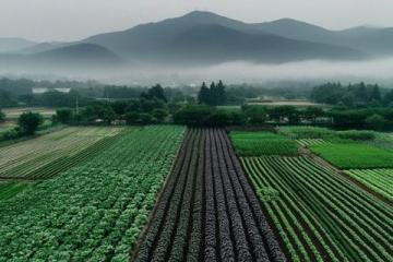 岑溪口福美食與風景之旅