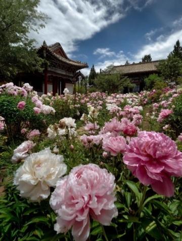 延邊大學(xué):五一假期中的美景與美味