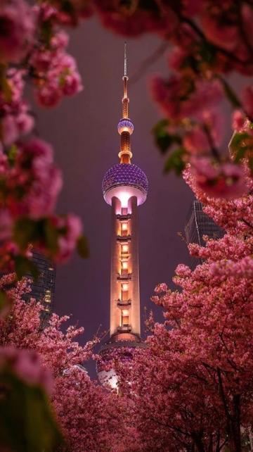 探索魔都魅力：五一上海旅游全攻略，享受外灘夜景、豫園古韻與迪士尼奇幻之旅