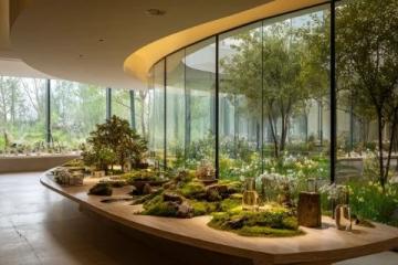深圳東部華僑城：茶溪谷度假公園，綠色氧吧核心景區