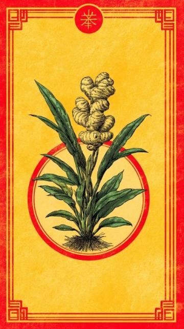 山藥和人參:深度挖掘中醫養生的核心