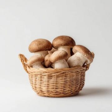 云南常見可食用野生菌種類知多少