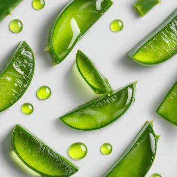 五種創意食譜解鎖蘆薈的美味與營養