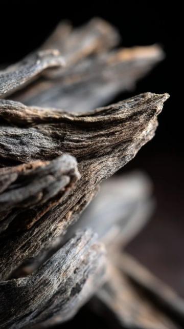 沉香保養秘笈:如何正確處理沉香以保持獨特氣息