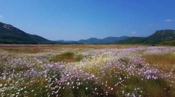 五一鶴壁1日游攻略：浚縣古城、大伾山、濕地公園，吃喝玩樂全攻略！