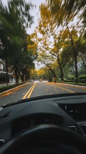詳解各國道路車道劃分與行駛規則必看！