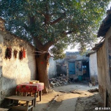 開封文旅爆火之后的冷思考:打通道路、加快節目編排及周邊道路建設等
