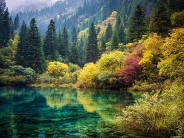 九寨溝一日游:奇幻探險(xiǎn)之旅,開(kāi)啟你的山水童話之旅