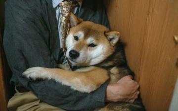 尋找伴侶的新途徑：單身狗去馬來西亞嘗試一下！