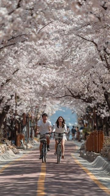 騎車去春游,公園推薦,騎車野餐是我認為度過春天最慵懶的方式了