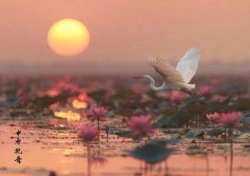 河南體彩投資提升須水河濱河公園便民設(shè)施服務(wù)水平