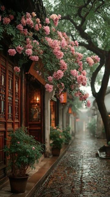 春季旅行推薦：揚(yáng)州之美不容錯(cuò)過(guò)
