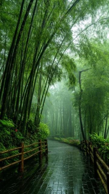武功山：雨后的艱難抉擇