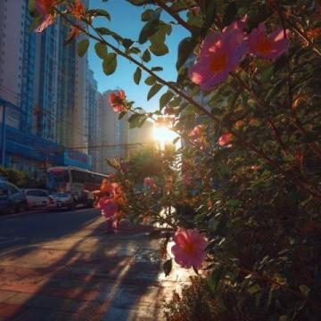 深圳旅游攻略:景點、美食和住宿推薦！