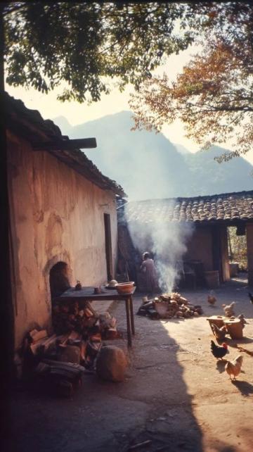 周口農(nóng)村：春節(jié)前軍叔跟風種蘑菇村民：他們家常年的生意