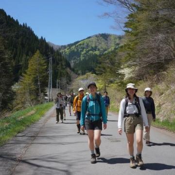 襄陽春日逃離計劃:與山野來一場浪漫邂逅