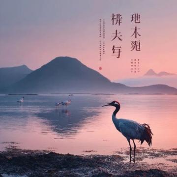 威海旅行必去景點(diǎn)及拍照技巧揭秘,避開這些雷區(qū)讓你的旅程更完美