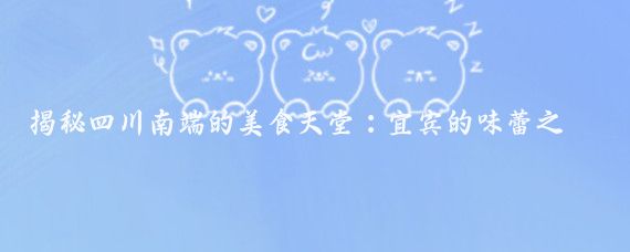 揭秘四川南端的美食天堂：宜賓的味蕾之旅