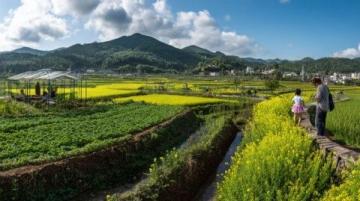 丹東寬甸下露河鄉：山水花村與朝鮮風情的邊境秘境