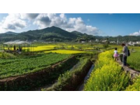 丹東寬甸下露河鄉：山水花村與朝鮮風情的邊境秘境