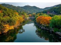 南京和杭州，哪個城市更宜居？