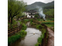 探索溫州泰順南浦溪：必看旅游攻略地圖