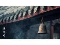 探索倒掛金鐘的象征意義、開花期與培育技巧及其深層文化內涵