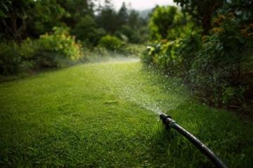 綠植養(yǎng)護(hù)技巧大揭秘：澆水、光照與施肥全攻略